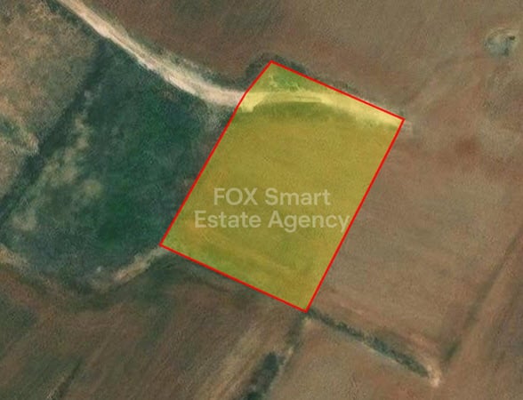 Land in Psimolofou - view 1