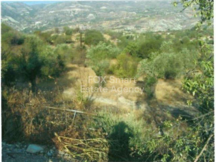 Land in Laneia - Image 3