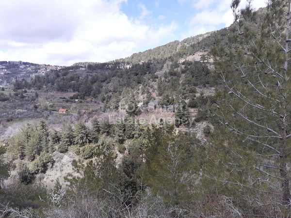 Land in Prodromos - view 1