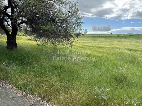 Land in Anarita - view 1