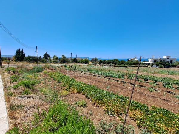 Land in Argaka - view 1