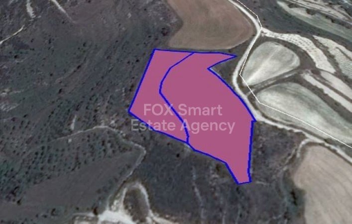 Land in Tsada - view 1