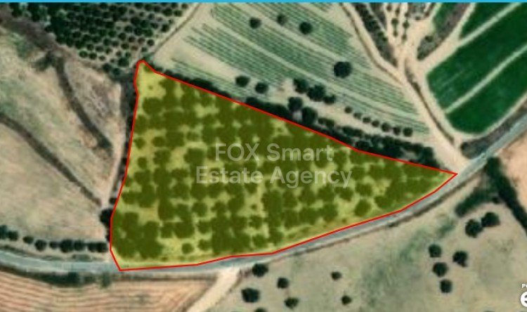 Land in Chrysochou - view 1