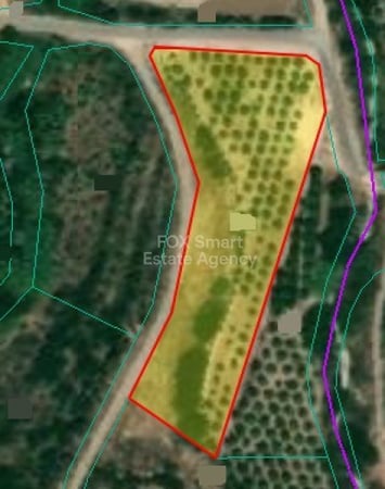 Land in Prodromi - view 1