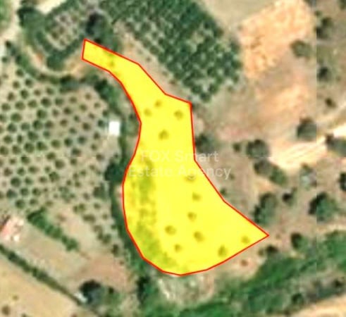 Land in Lythrodontas - view 1