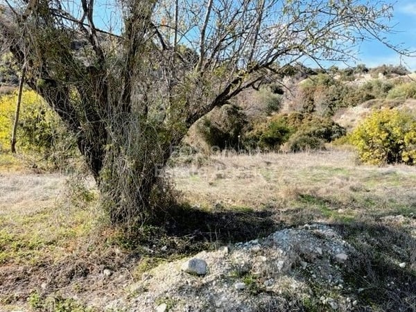 Land in Mathikoloni - view 1