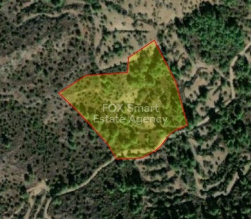 Land in Lythrodontas - view 1