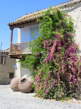 House in Pera - view 1