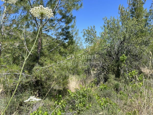 Land in Pera Pedi - view 1