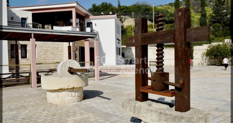 Land in Agios Isidoros - view 1