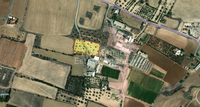 Land in Psimolofou - view 1