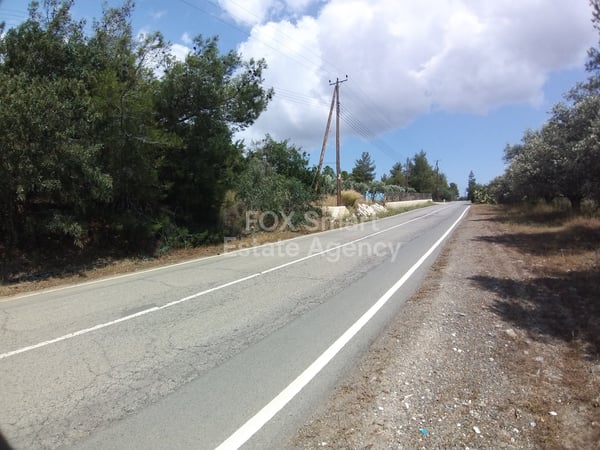 Land in Analiontas - view 1