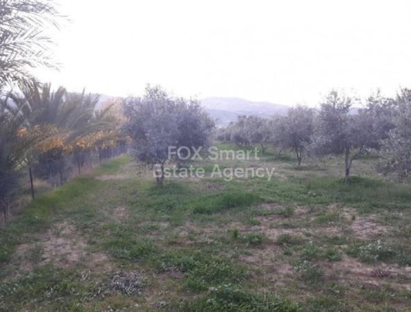 Land in Goudi - view 1