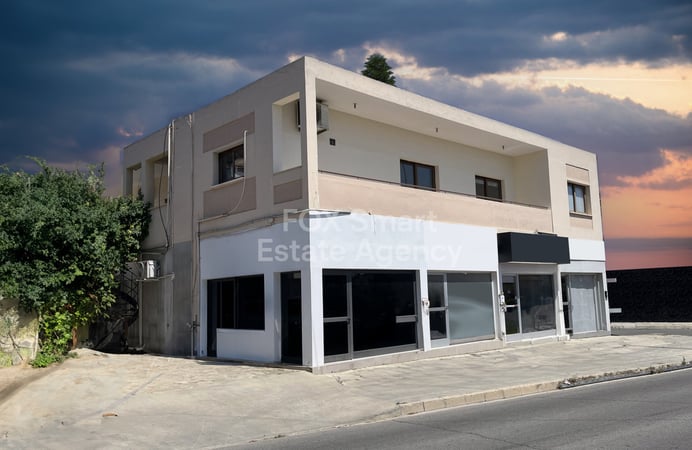 House in Lakatamia - view 1