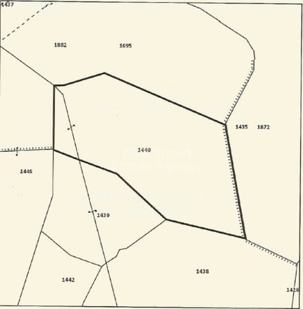 Land in Kakopetria - view 1