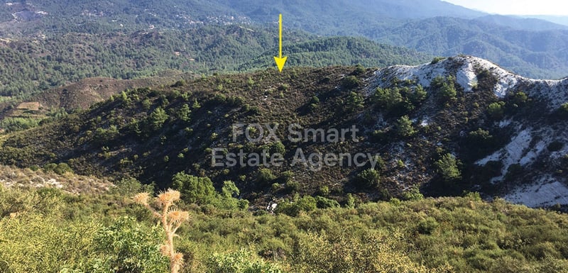 Land in Mandria - view 1