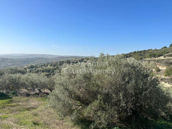 Land in Psathi - view 1