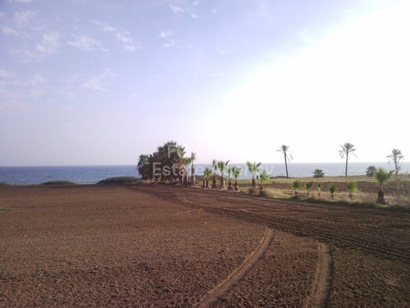 Land in Mazotos - view 1