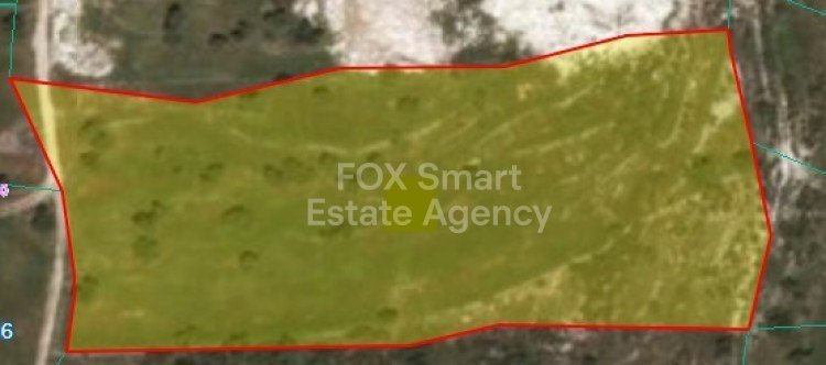 Land in Pachna - view 1