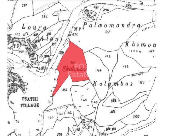 Land in Psathi - view 1