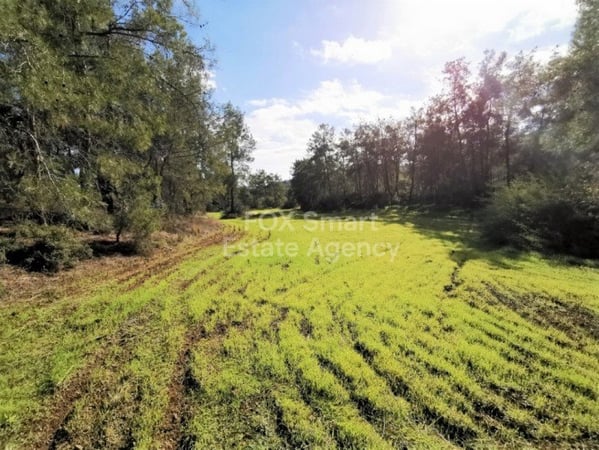 Land in Sia - view 1