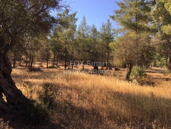 Land in Kornos - view 1