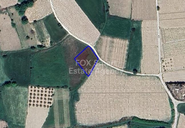 Land in Polemi - view 1