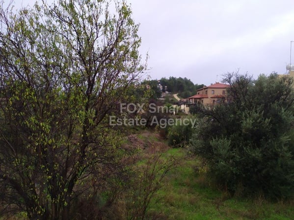 Land in Kalo Chorio (Oreinis) - view 1