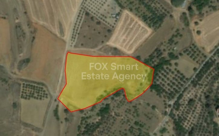 Land in Kalo Chorio (Oreinis) - view 1