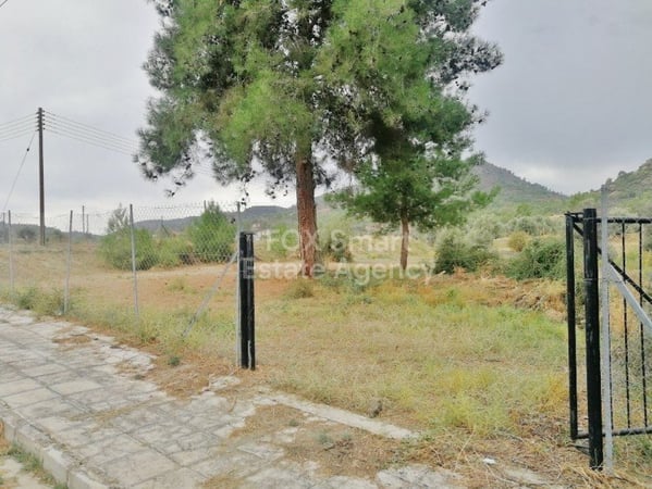 Land in Lythrodontas - view 1