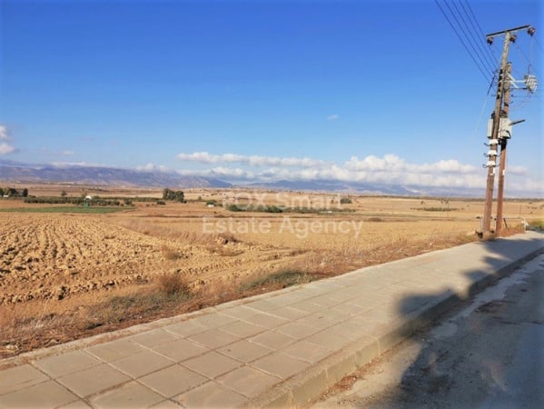 Land in Mammari - view 1
