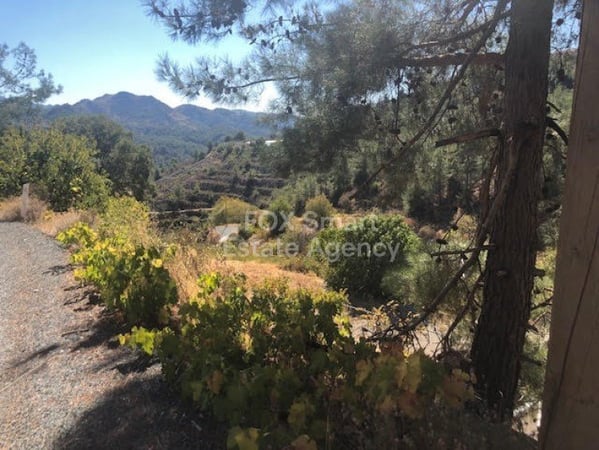 Land in Kyperounta - view 1