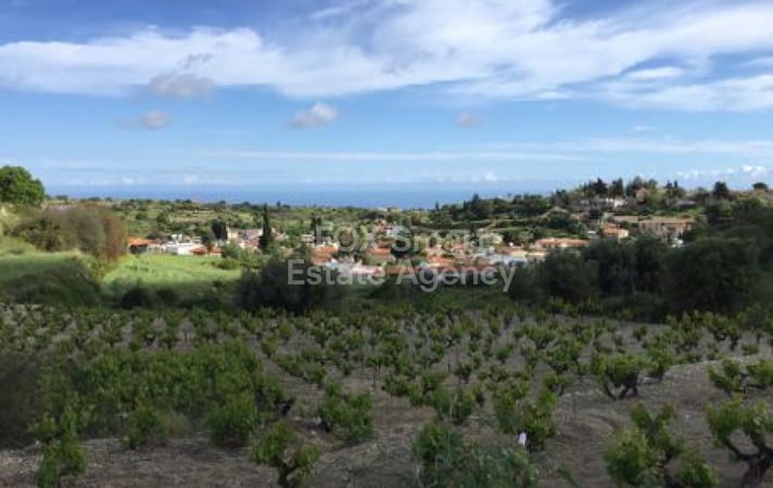 Land in Pachna - view 1