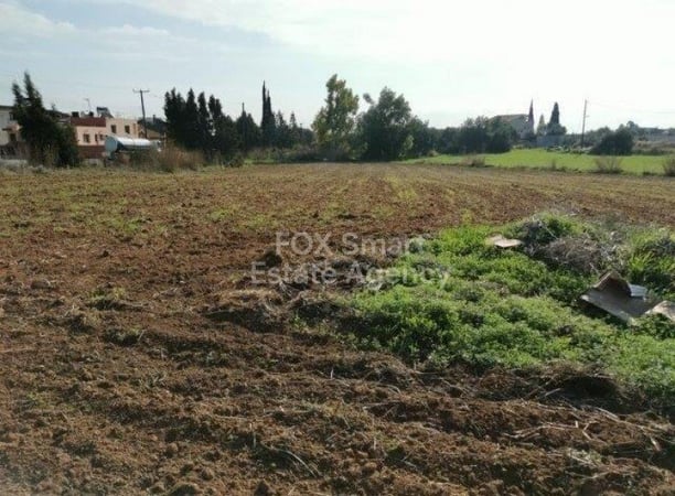 Land in Pachna - view 1
