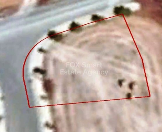 Land in Alaminos - view 1