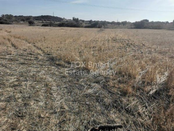 Land in Pachna - view 1