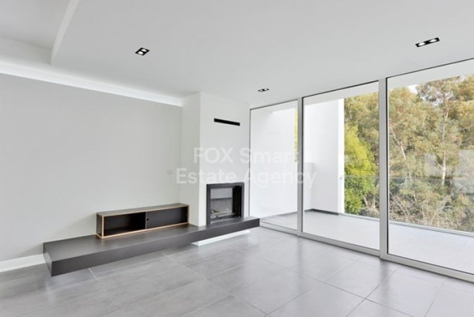 Apartment in Ayioi Omoloyites - view 1