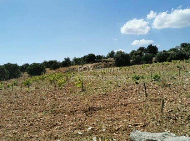 Land in Pachna - view 1