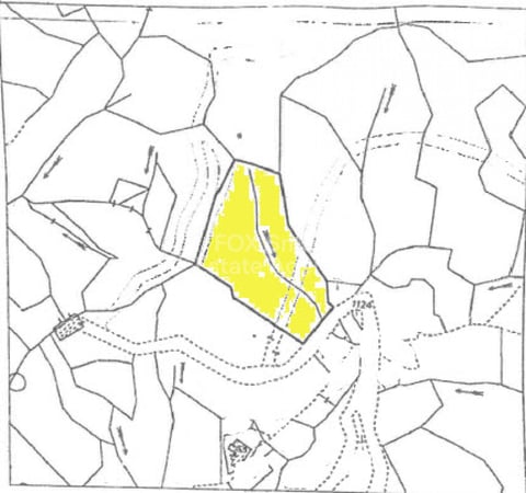 Land in Kakopetria - view 1
