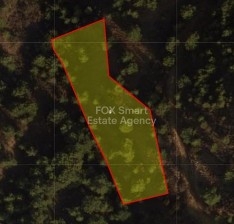 Land in Pomos - view 1