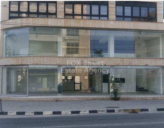 House in Dasoupolis - view 1