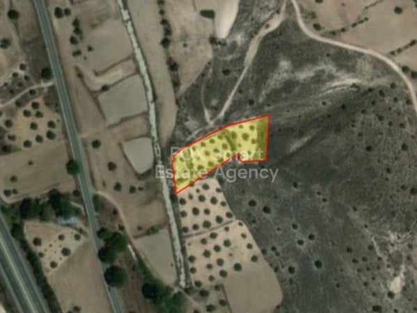 Land in Alampra - view 1