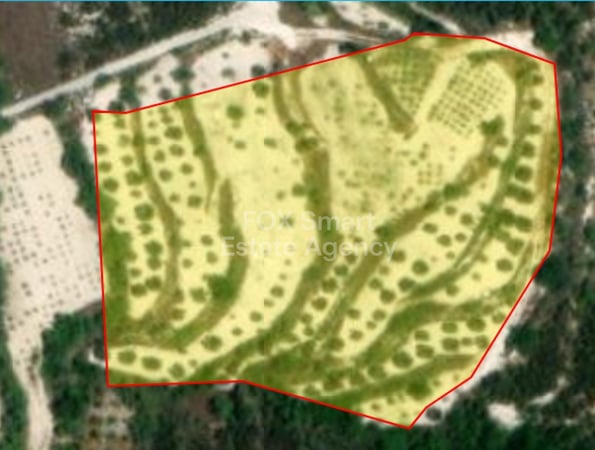 Land in Tsada - view 1