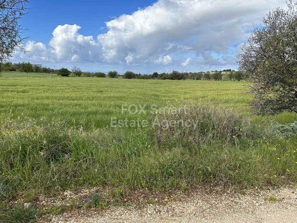 Land in Anarita - view 1