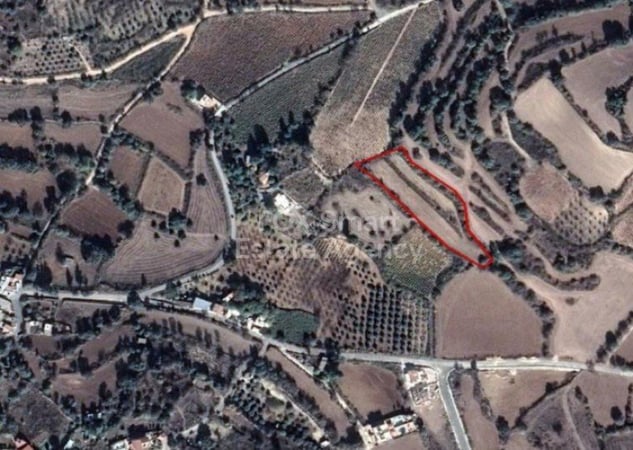 Land in Fyti - view 1