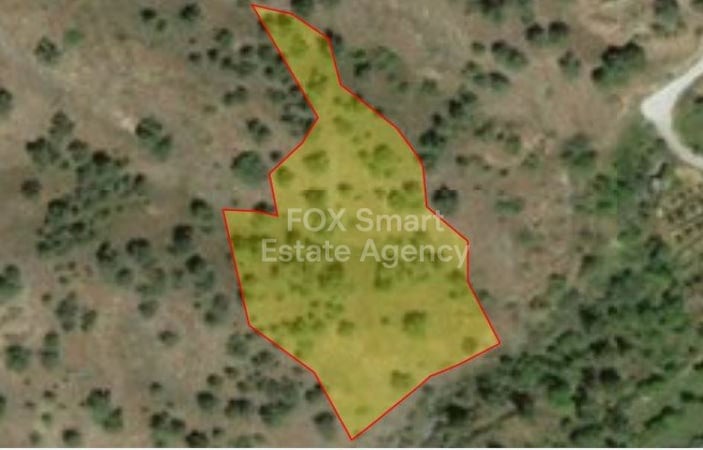 Land in Agios Theodoros - view 1