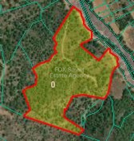 Land in Kalo Chorio (Oreinis) - view 1