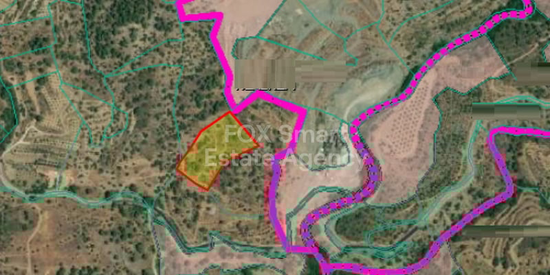 Land in Agios Mamas - view 1