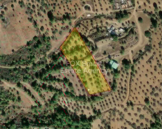 Land in Lythrodontas - view 1