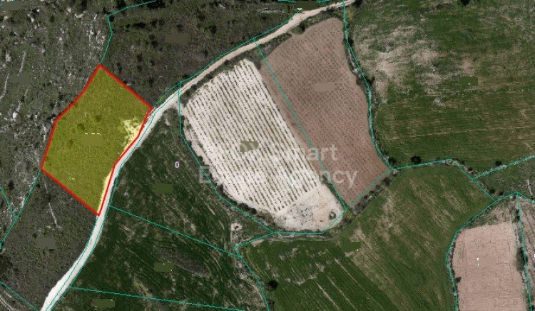 Land in Kathikas - view 1